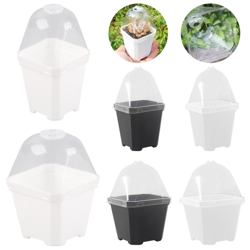 Propagation Tray Dome - กระถางเพาะชำแบบโดม 5 ชิ้น ถาดเพาะเมล็ด กระถางปลูกต้นไม้ขนาดเล็ก พร้อมฝาครอบใส