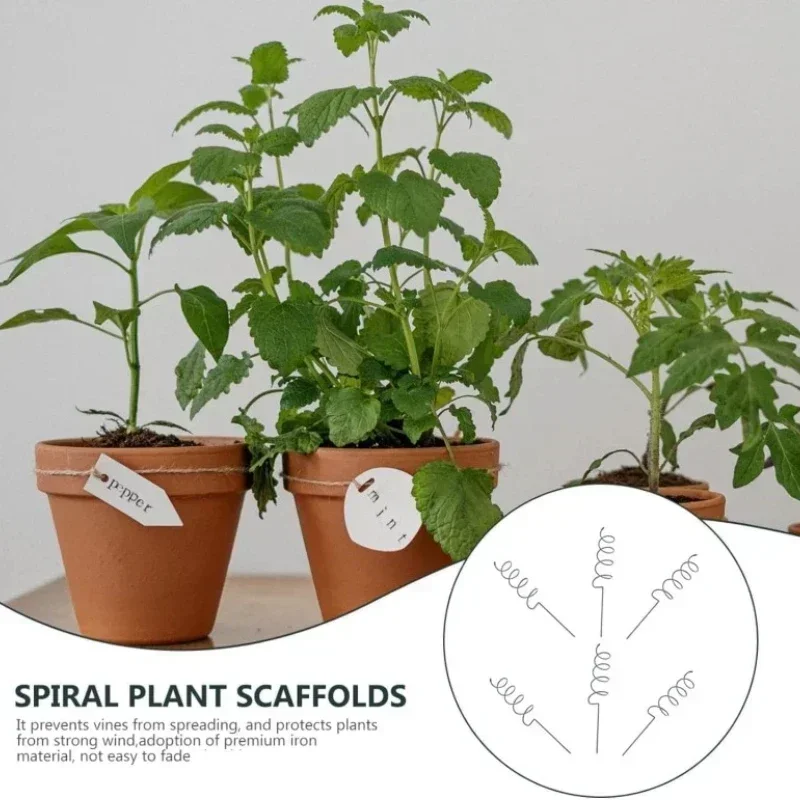 เสาค้ำต้นไม้เลื้อย ที่ค้ำต้นไม - Plant Support Stake บทวิจารณ์และราคา