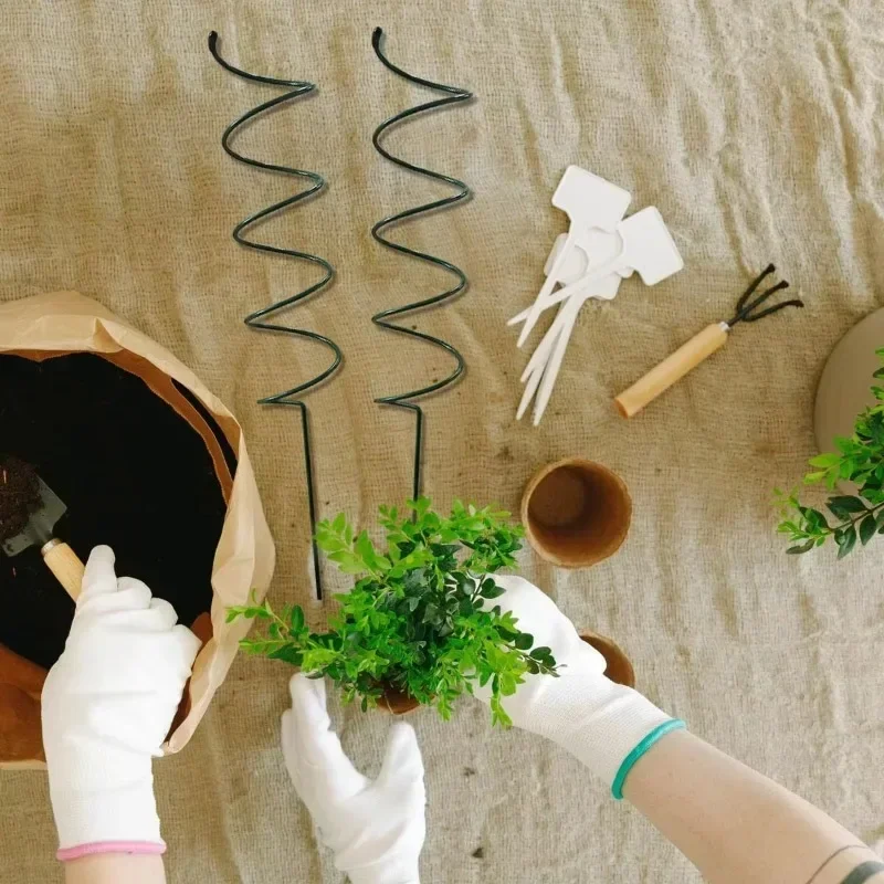 เสาค้ำต้นไม้เลื้อย ที่ค้ำต้นไม - Plant Support Stake บทวิจารณ์และราคา