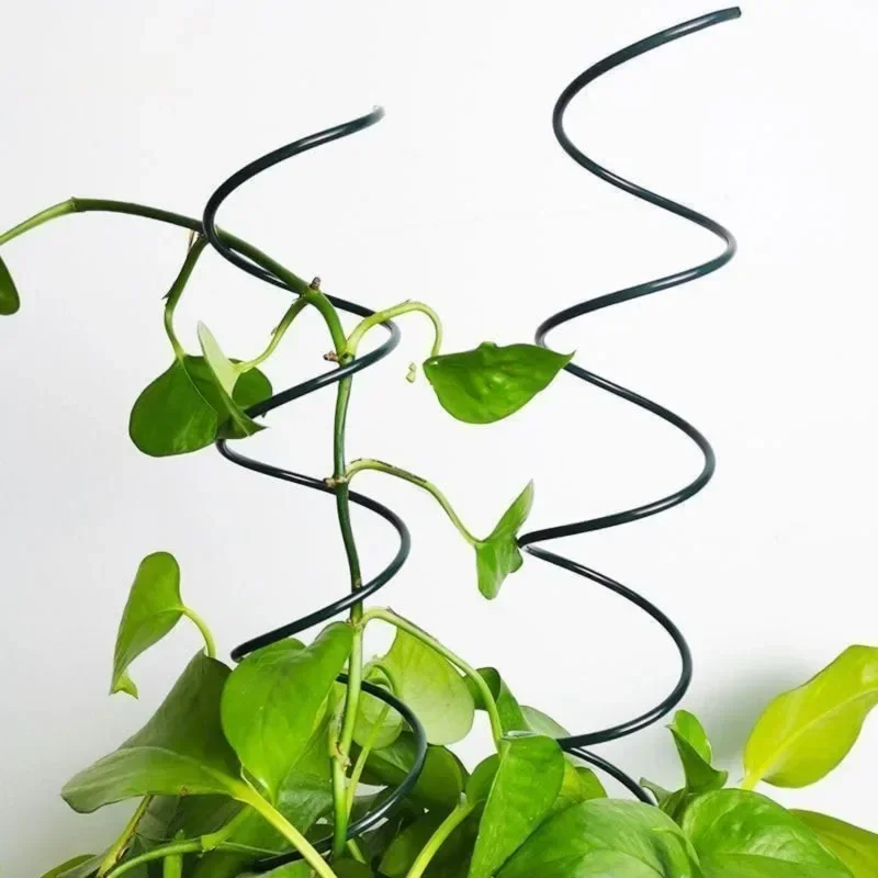 เสาค้ำต้นไม้เลื้อย ที่ค้ำต้นไม - Plant Support Stake บทวิจารณ์และราคา