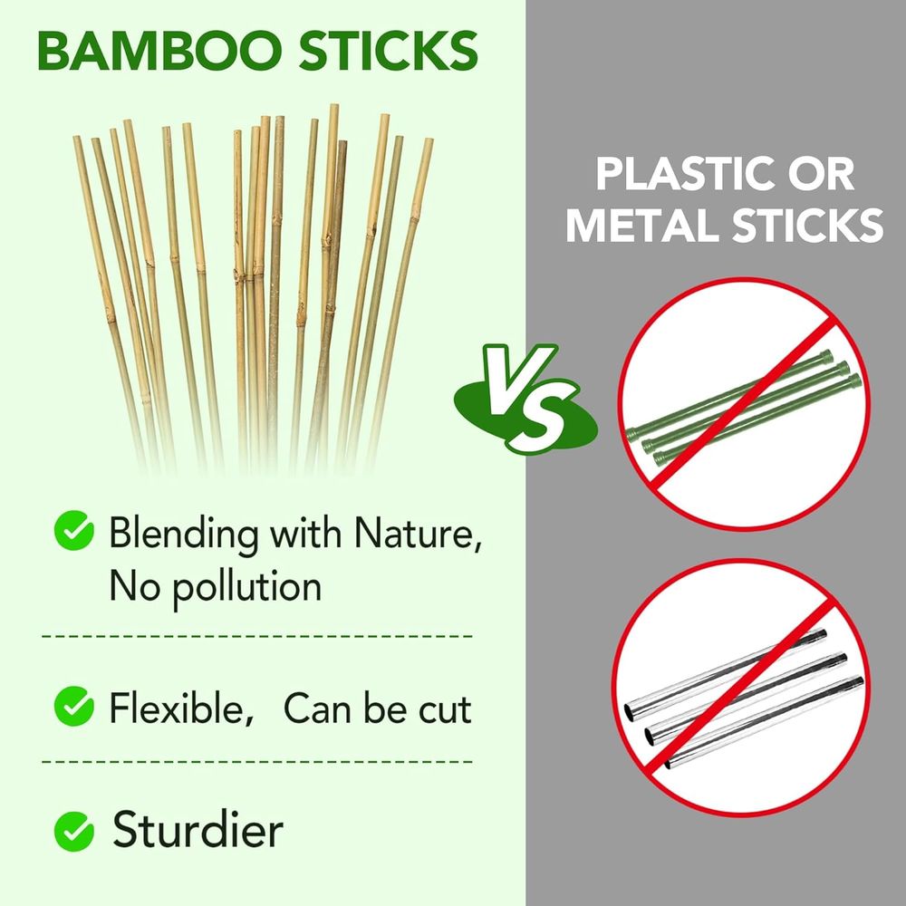 เสาค้ำต้นไม้จากไม้ไผ่ธรรมชาติ  - Plant Support Stake บทวิจารณ์และราคา