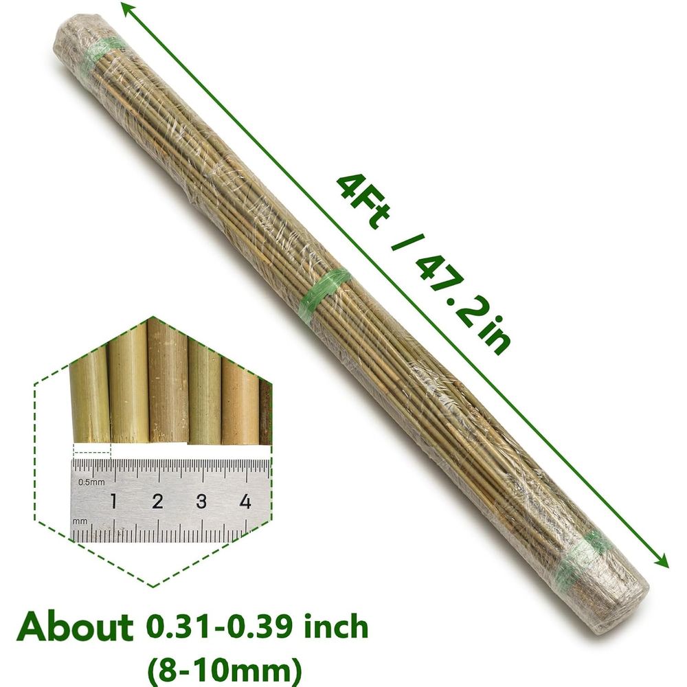 เสาค้ำต้นไม้จากไม้ไผ่ธรรมชาติ  - Plant Support Stake บทวิจารณ์และราคา