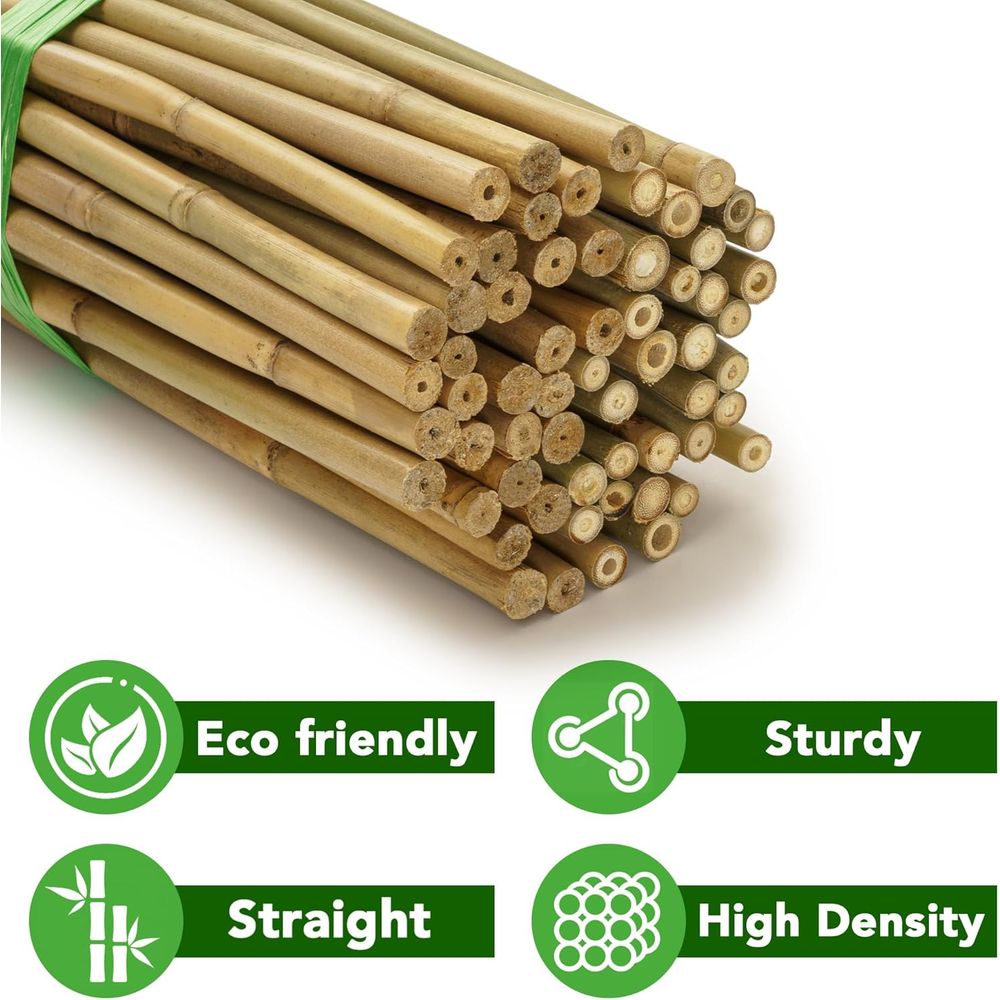 เสาค้ำต้นไม้จากไม้ไผ่ธรรมชาติ  - Plant Support Stake บทวิจารณ์และราคา