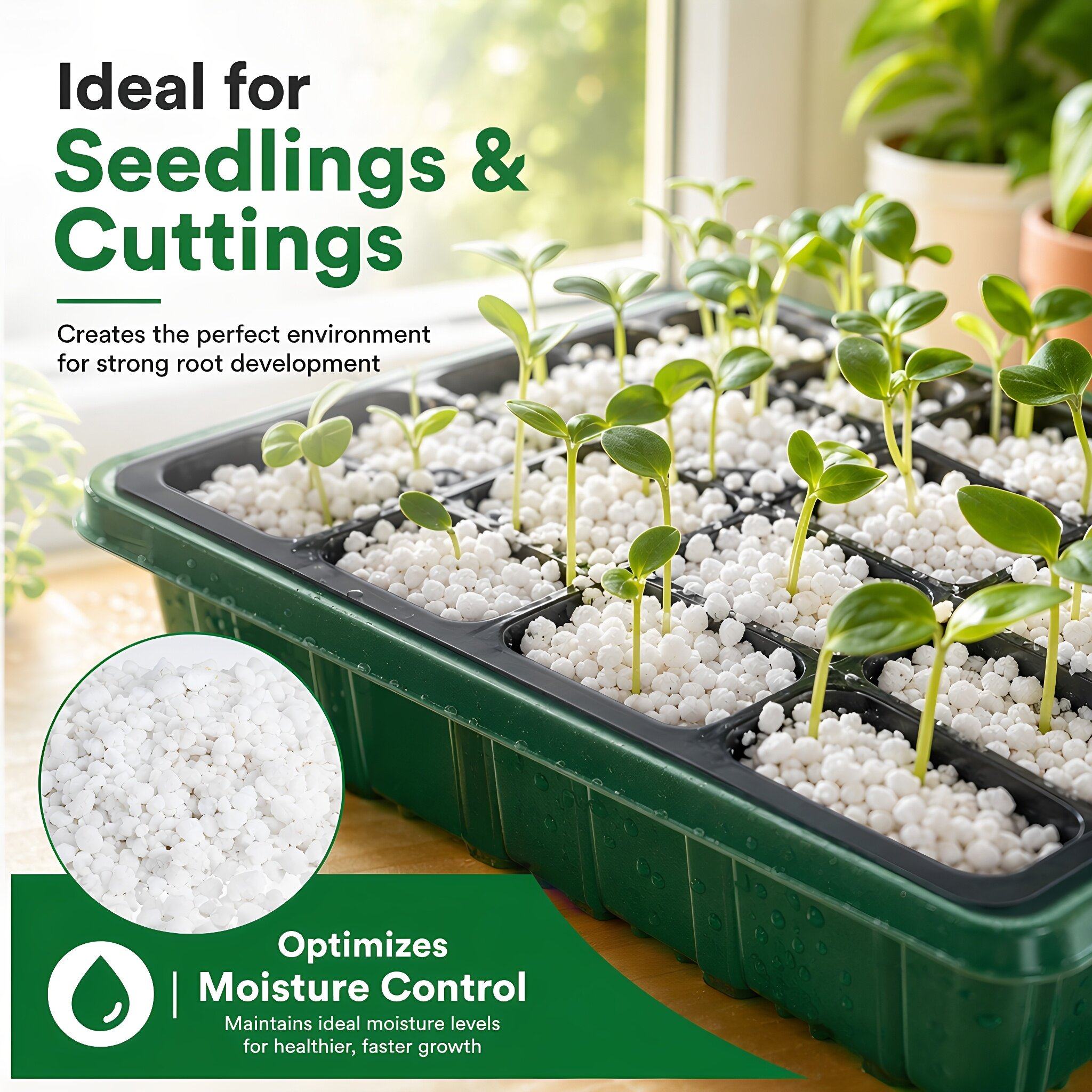 เพอร์ไลต์สำหรับปลูกพืชในร่ม 5  - Horticulture Soil Perlite บทวิจารณ์และราคา