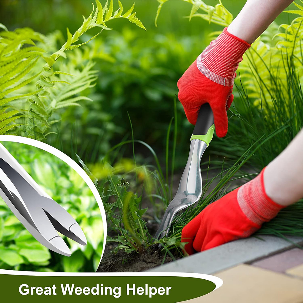เครื่องมือกำจัดวัชพืชแบบมือถือ - Gardening Tools To Remove Weeds บทวิจารณ์และราคา