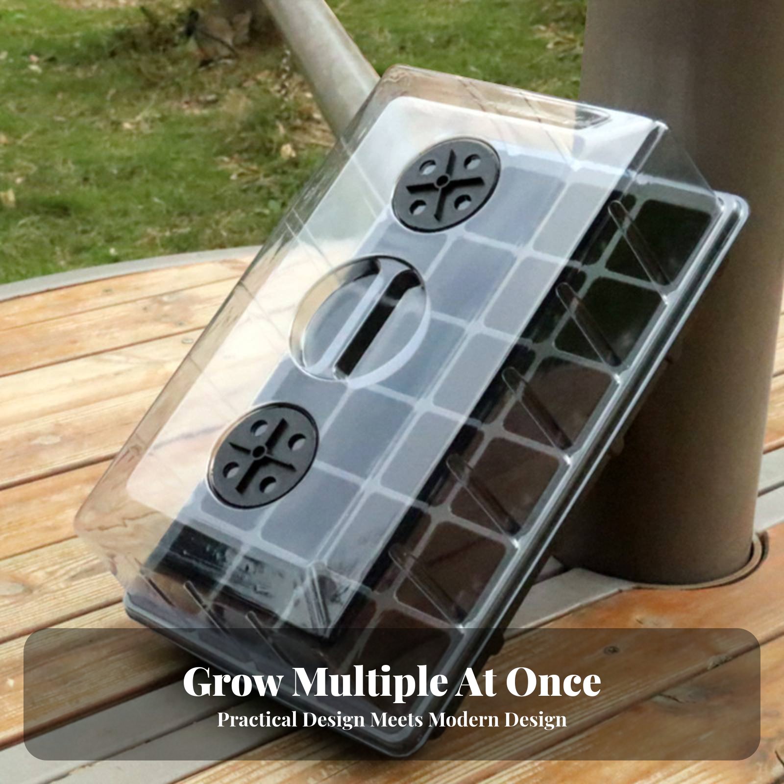 ถาดเพาะชำ 24 ช่อง ฝาใส ถาดเพาะ - Propagation Tray Dome บทวิจารณ์และราคา