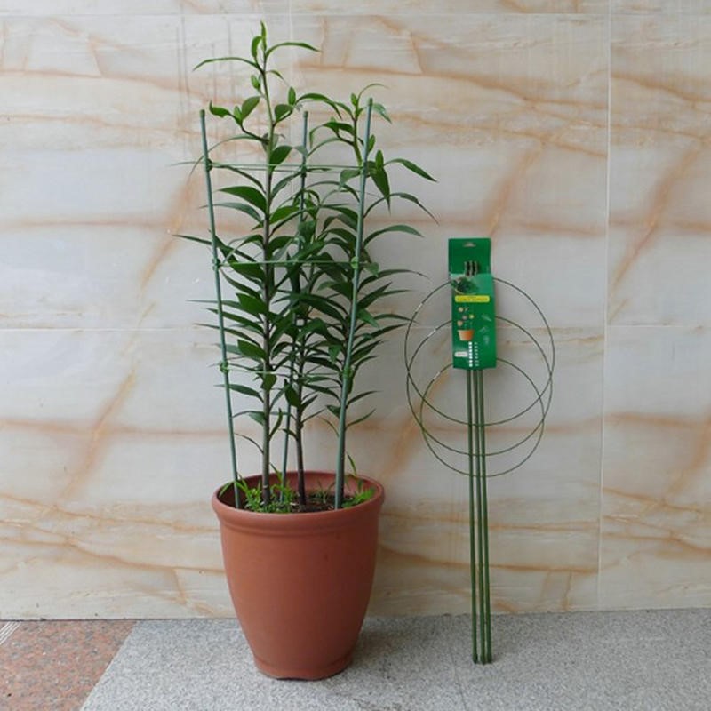ชุดอุปกรณ์พยุงต้นไม้ 3 ชั้น 1/ - Plant Support Stake บทวิจารณ์และราคา