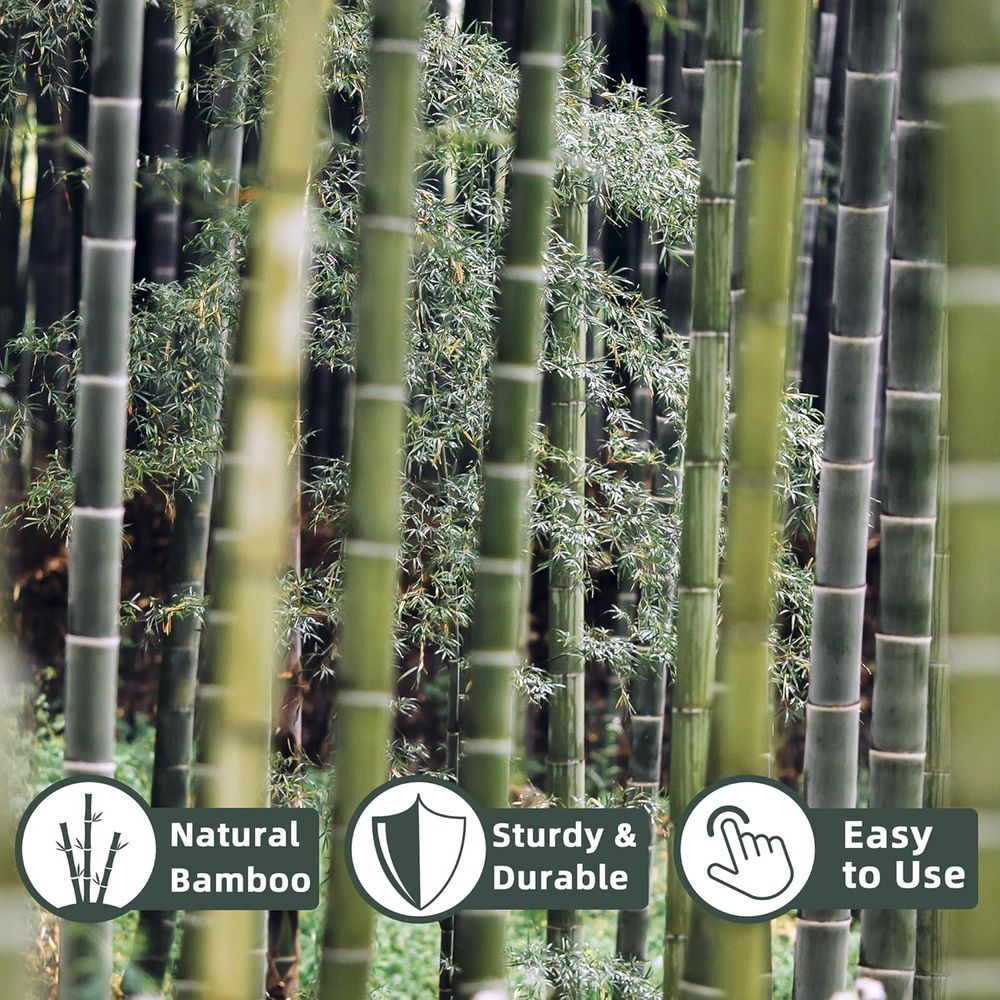 เสาค้ำต้นไม้จากไม้ไผ่ 50 ชิ้น  - Plant Support Stake บทวิจารณ์และราคา
