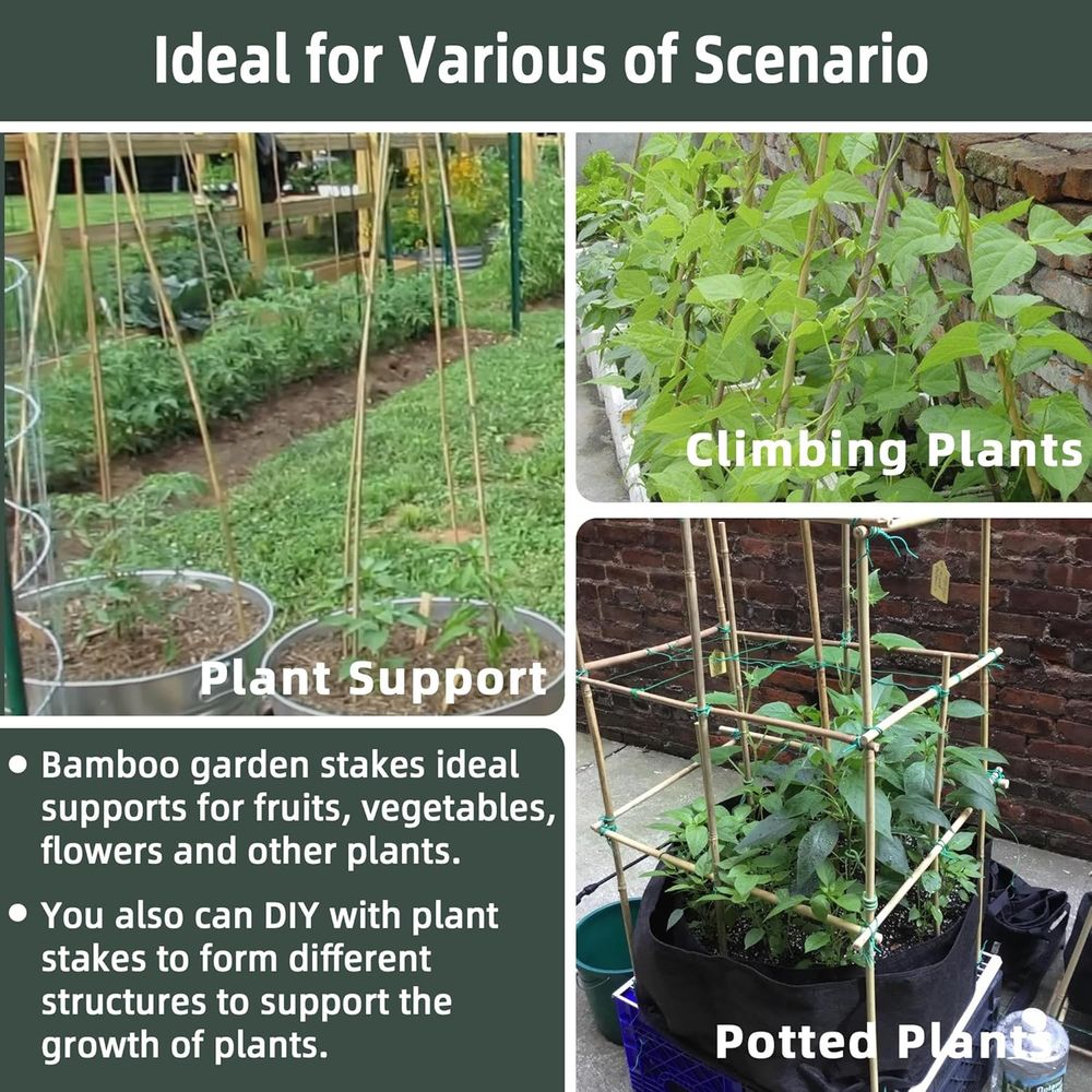 เสาค้ำต้นไม้จากไม้ไผ่ 50 ชิ้น  - Plant Support Stake บทวิจารณ์และราคา