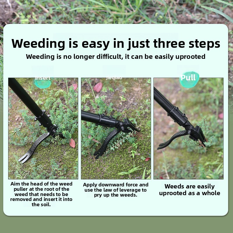 เครื่องกำจัดวัชพืชแบบยืนจับด้า - Gardening Tools To Remove Weeds บทวิจารณ์และราคา