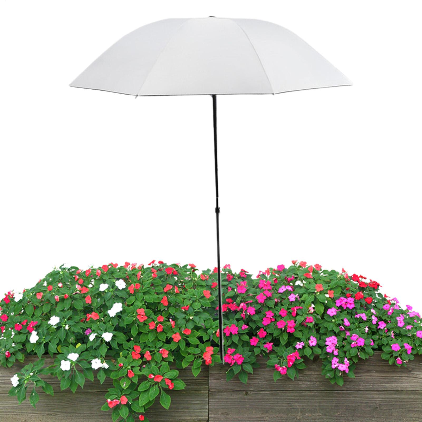 ร่มบังแดดสำหรับต้นไม้พร้อมเสาโ - Plant Support Stake บทวิจารณ์และราคา