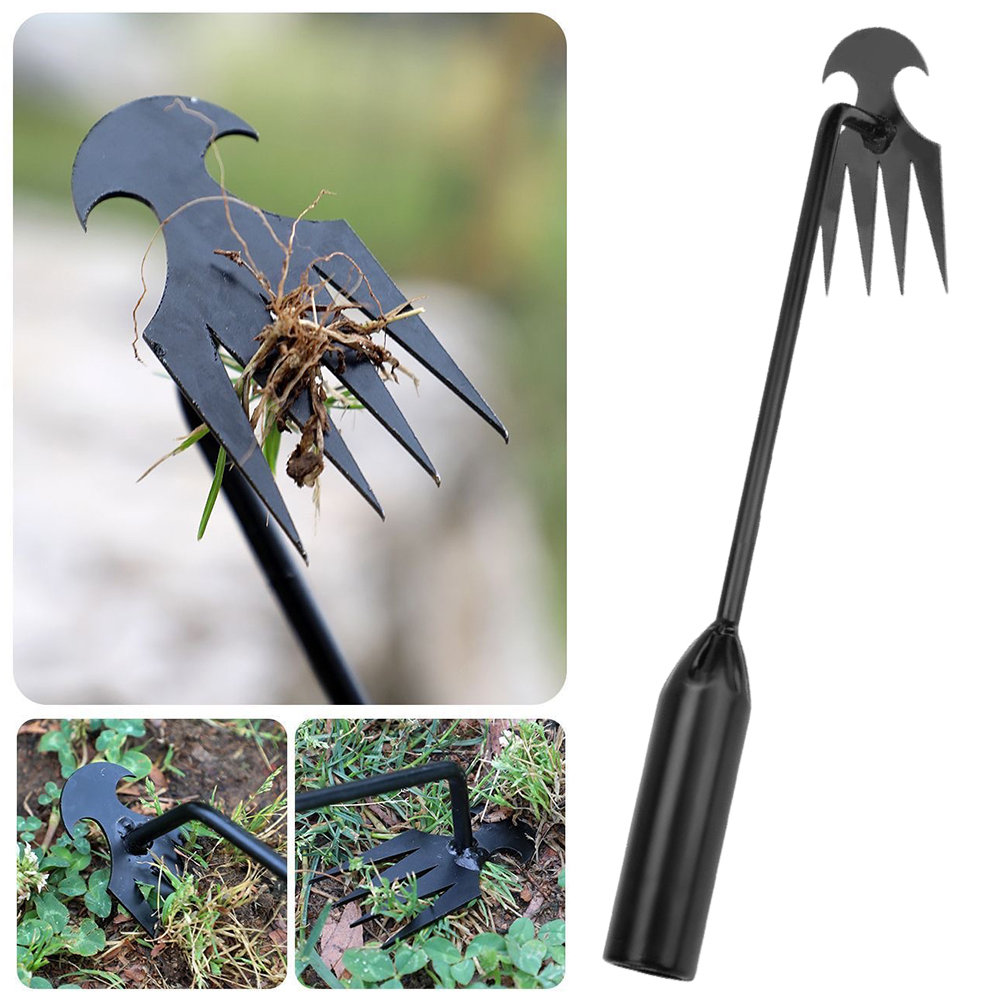 Garden Hoe เครื่องมือ 2 in 1 D - Gardening Tools To Remove Weeds บทวิจารณ์และราคา