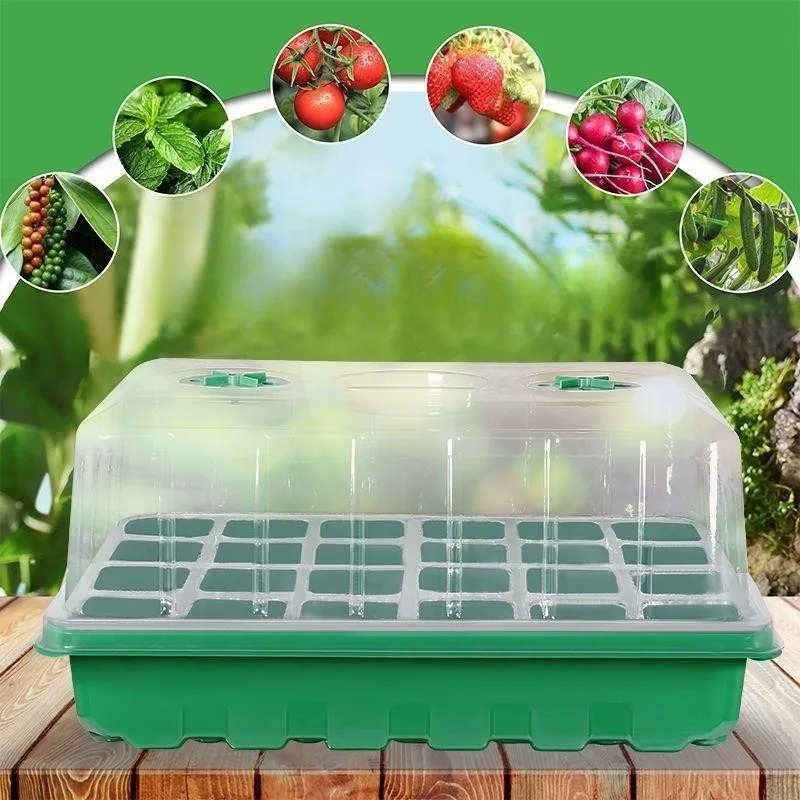 ชุดถาดเพาะกล้า 1/5 ชิ้น - ถาดเ - Propagation Tray Dome บทวิจารณ์และราคา