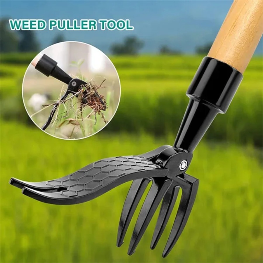 เครื่องมือถอนวัชพืชแบบยืนพร้อม - Gardening Tools To Remove Weeds บทวิจารณ์และราคา