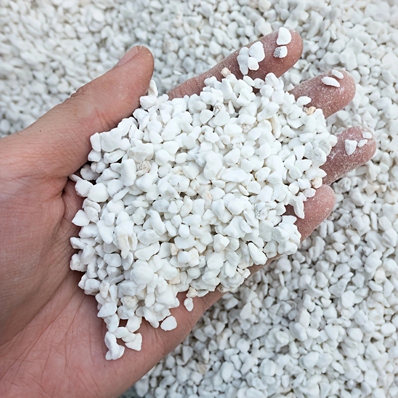 เพอร์ไลต์เพื่อการเพาะปลูกขนาด  - Horticulture Soil Perlite บทวิจารณ์และราคา