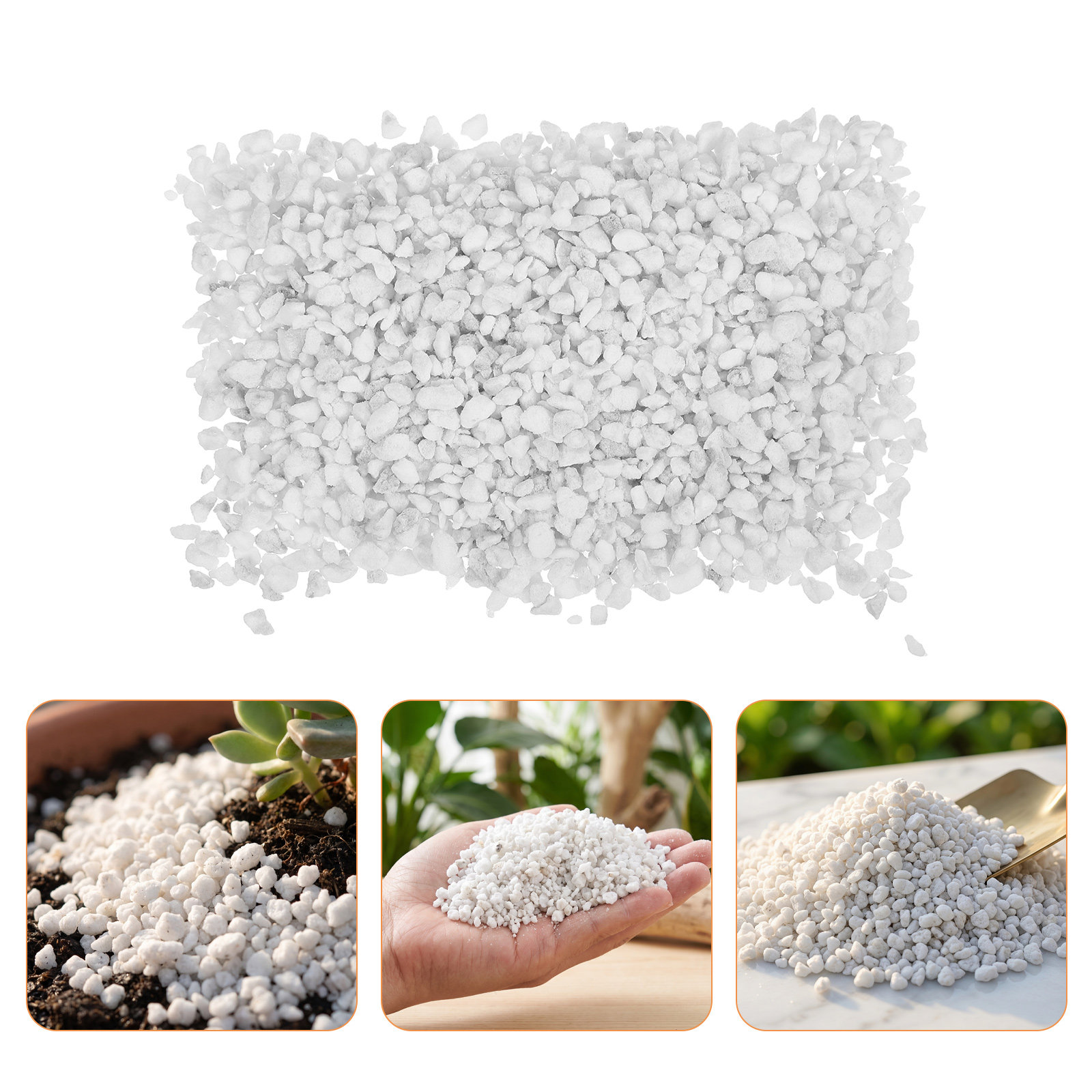 เพอร์ไลต์สำหรับปลูกต้นไม้ในร่ม - Horticulture Soil Perlite บทวิจารณ์และราคา