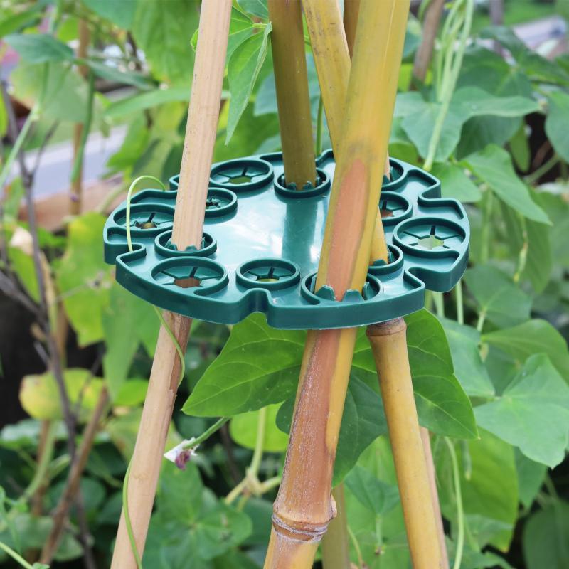 โครงตาข่ายพลาสติกสำหรับพืช ตัว - Plant Support Stake บทวิจารณ์และราคา