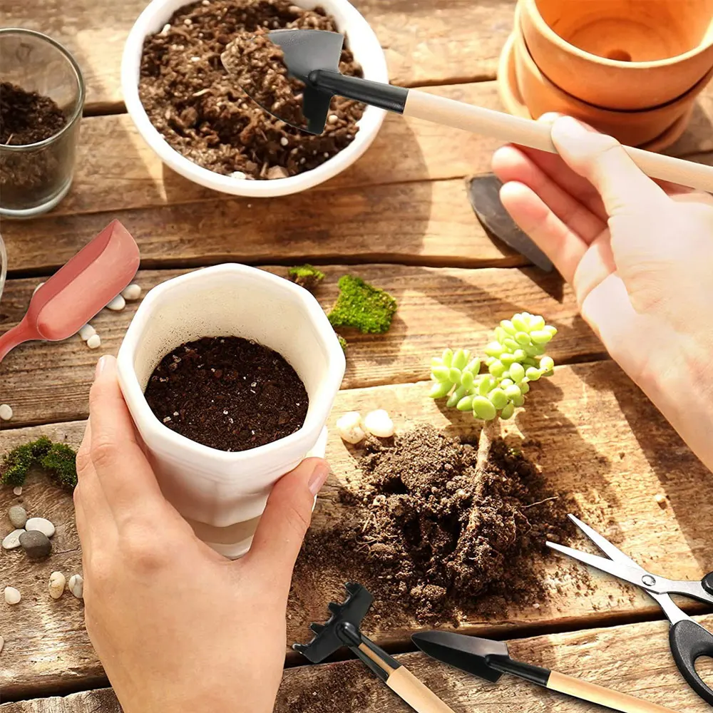 ชุดเครื่องมือปลูกพืชอวบน้ำ13ชิ - Gardening Tools Sale บทวิจารณ์และราคา