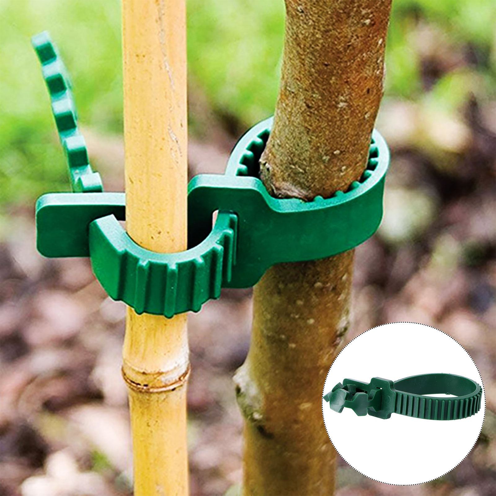 คลิปยึดเถาวัลย์สำหรับพืชในสวน  - Plant Support Stake บทวิจารณ์และราคา