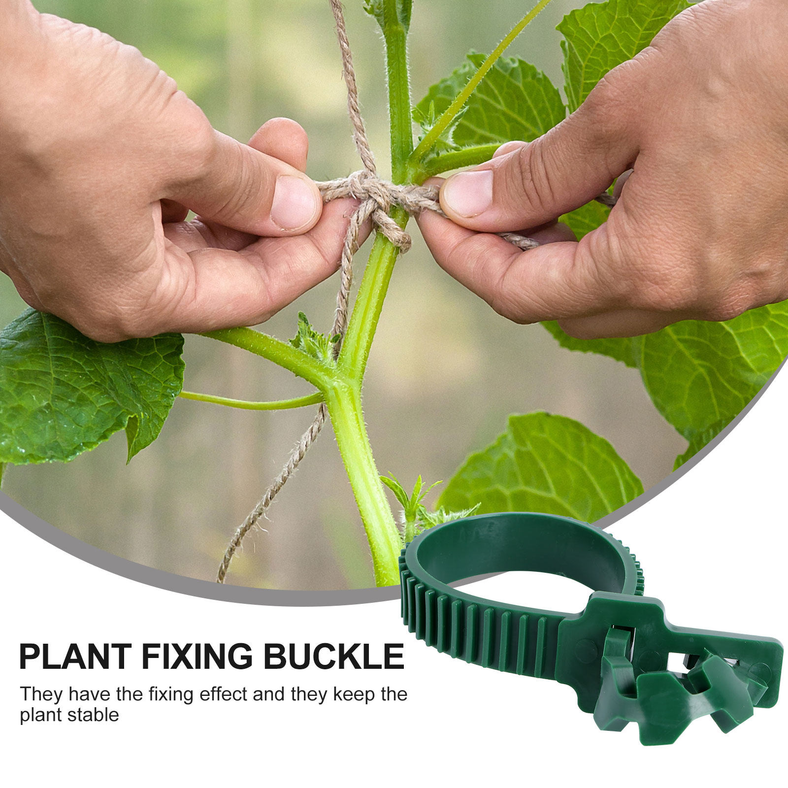 คลิปยึดเถาวัลย์สำหรับพืชในสวน  - Plant Support Stake บทวิจารณ์และราคา