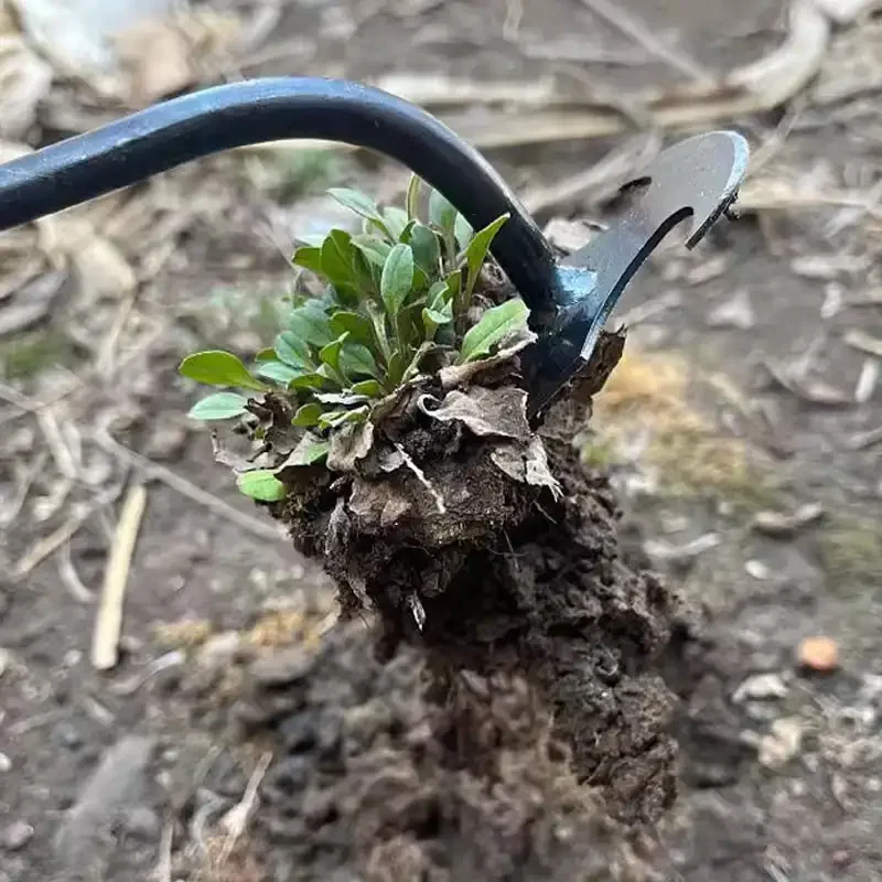 เครื่องมือกำจัดวัชพืชในสวน ทำจ - Gardening Tools To Remove Weeds บทวิจารณ์และราคา
