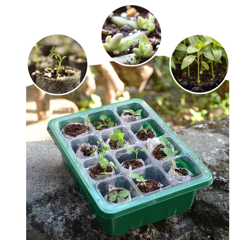 6/12 หลุม Seed Starter ถาดความ - Propagation Tray Dome บทวิจารณ์และราคา
