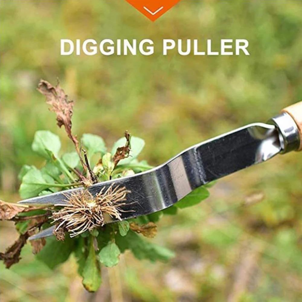 เครื่องกำจัดวัชพืชในสวนสแตนเลส - Gardening Tools Sale บทวิจารณ์และราคา