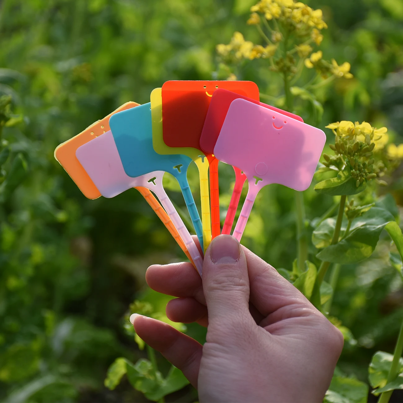 50PCS กันน้ําสวนป้ายพลาสติกหมว - Gardening Tool Diy บทวิจารณ์และราคา