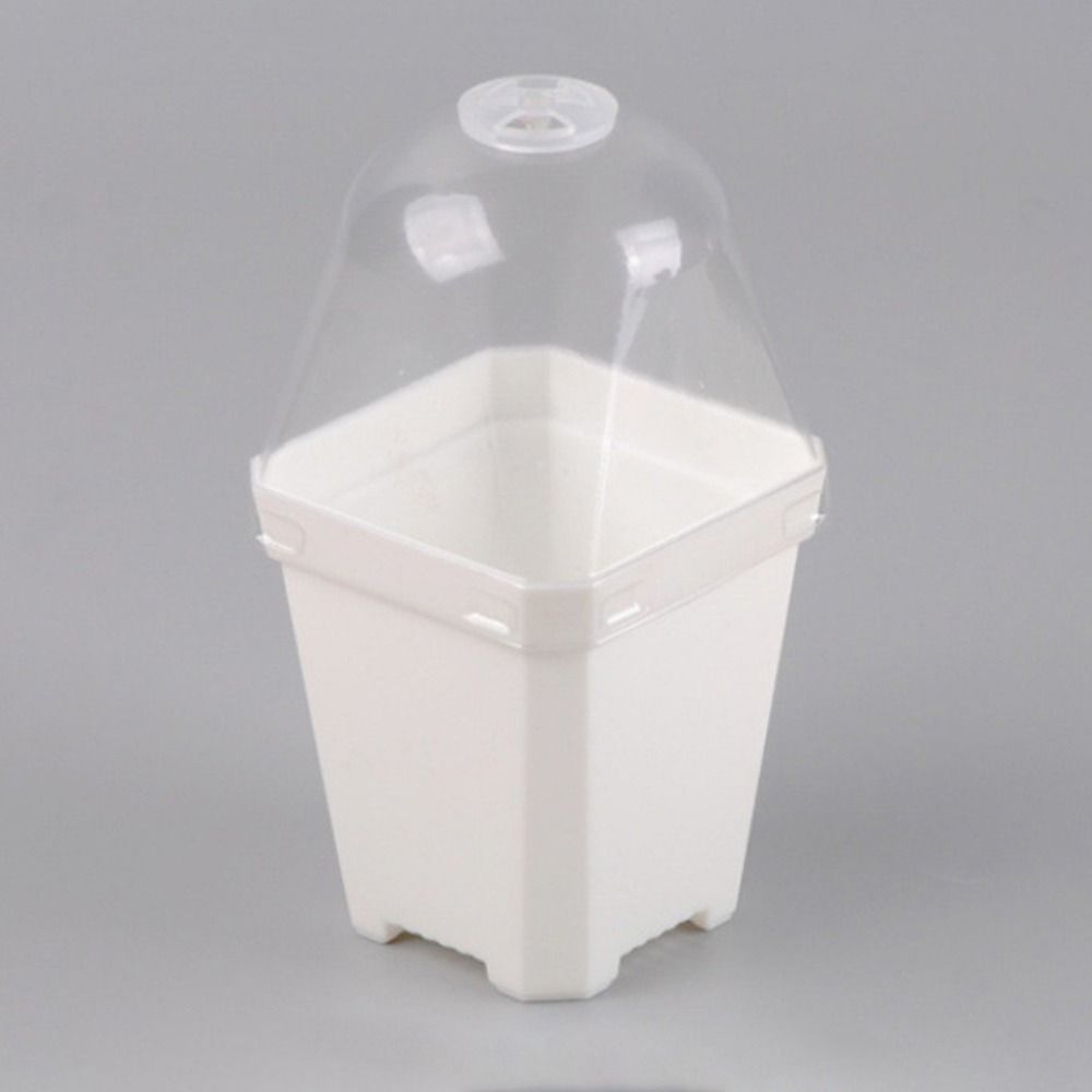 กระถางเพาะชำแบบโดม 5 ชิ้น ถาดเ - Propagation Tray Dome บทวิจารณ์และราคา