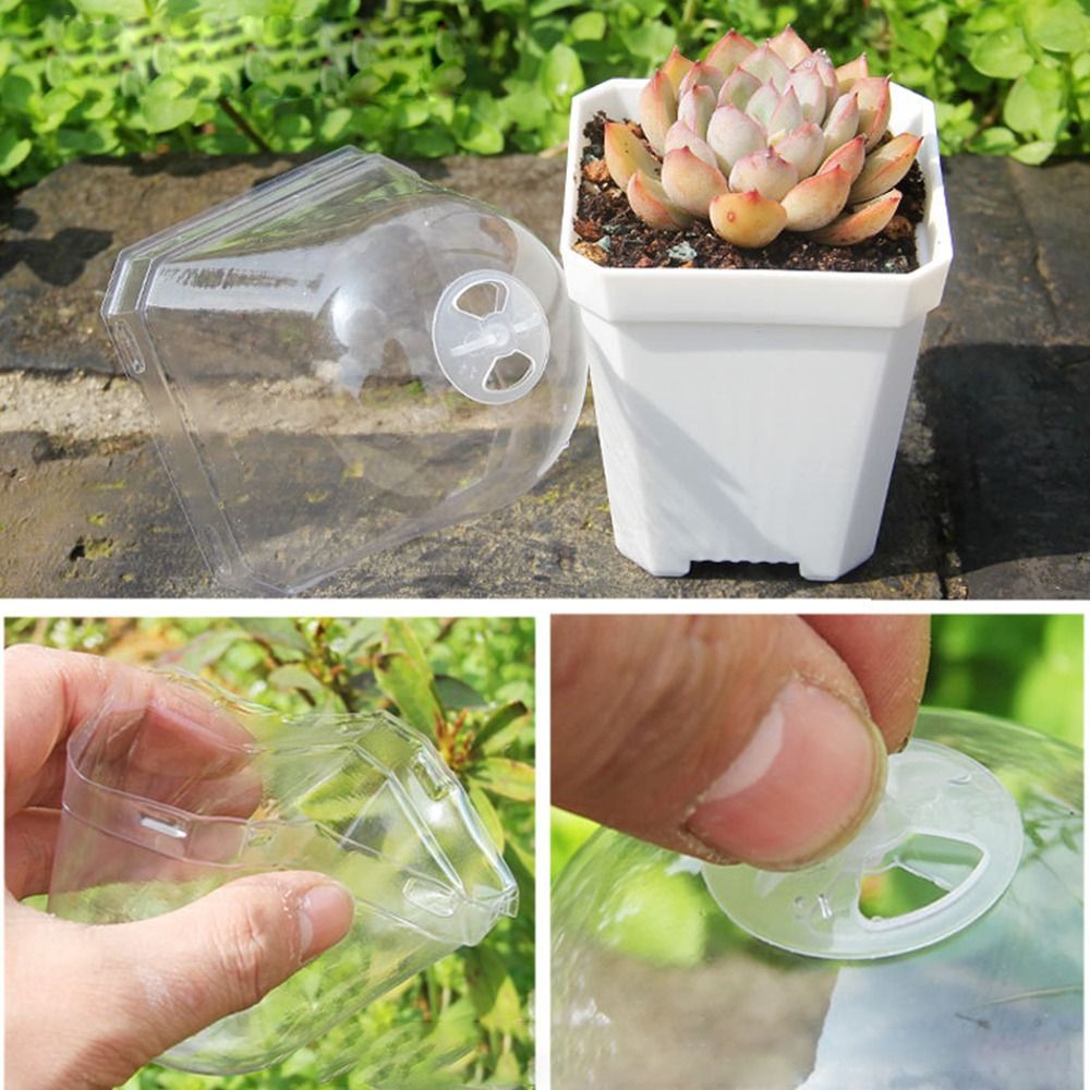 กระถางเพาะชำแบบโดม 5 ชิ้น ถาดเ - Propagation Tray Dome บทวิจารณ์และราคา