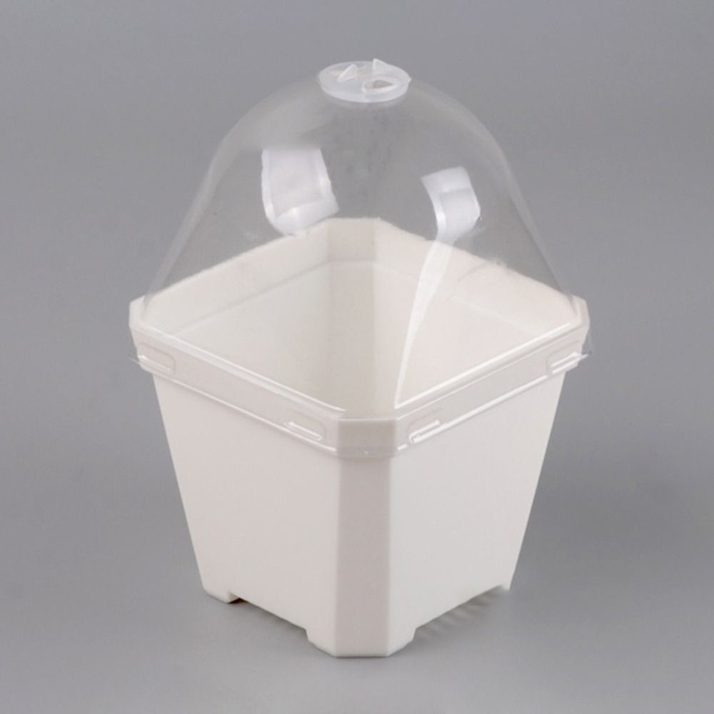 กระถางเพาะชำแบบโดม 5 ชิ้น ถาดเ - Propagation Tray Dome บทวิจารณ์และราคา