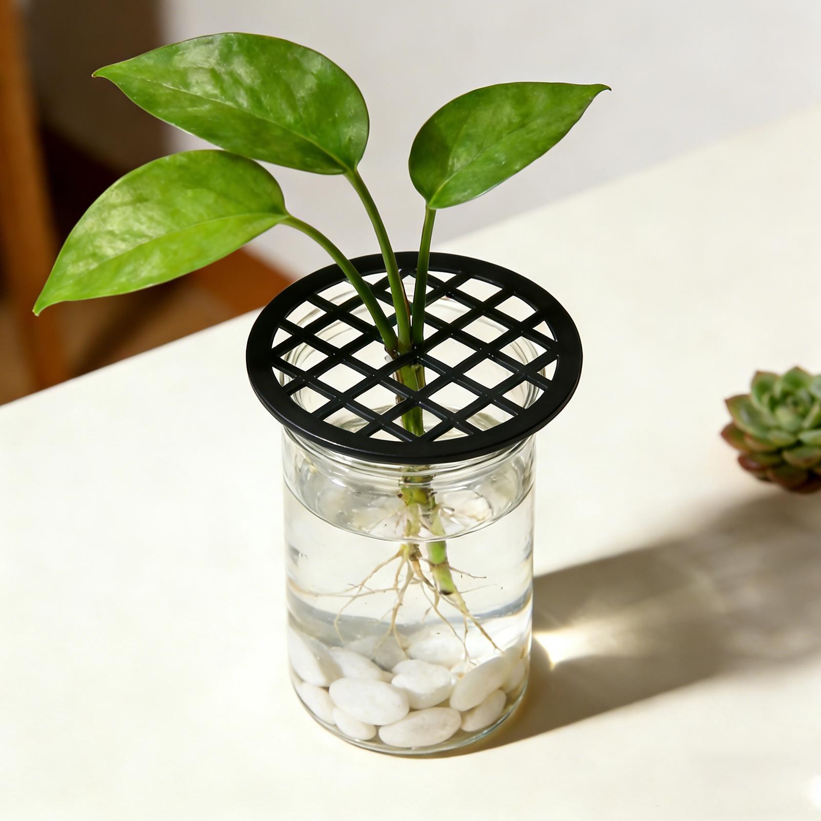 ถาดเพาะชำต้นไม้พลาสติกสีเขียว  - Propagation Tray Dome บทวิจารณ์และราคา