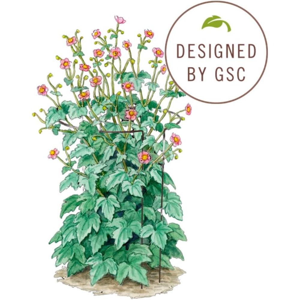 เสาค้ำต้นไม้โลหะสำหรับสวน |    - Plant Support Stake บทวิจารณ์และราคา