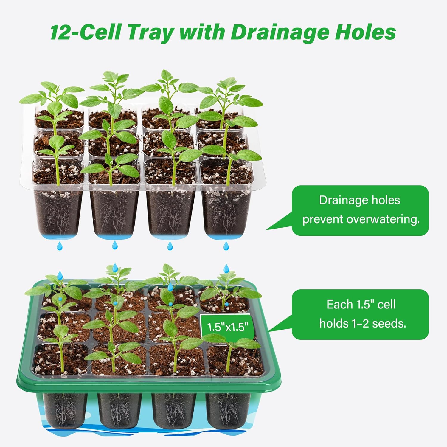 ชุดเริ่มต้นเพาะเมล็ดพร้อมถาดเพ - Propagation Tray Dome บทวิจารณ์และราคา