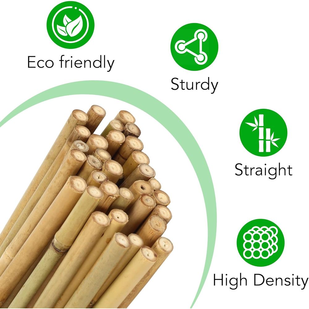 ชุดเสาค้ำต้นไม้จากไม้ไผ่ 55 ชิ - Plant Support Stake บทวิจารณ์และราคา