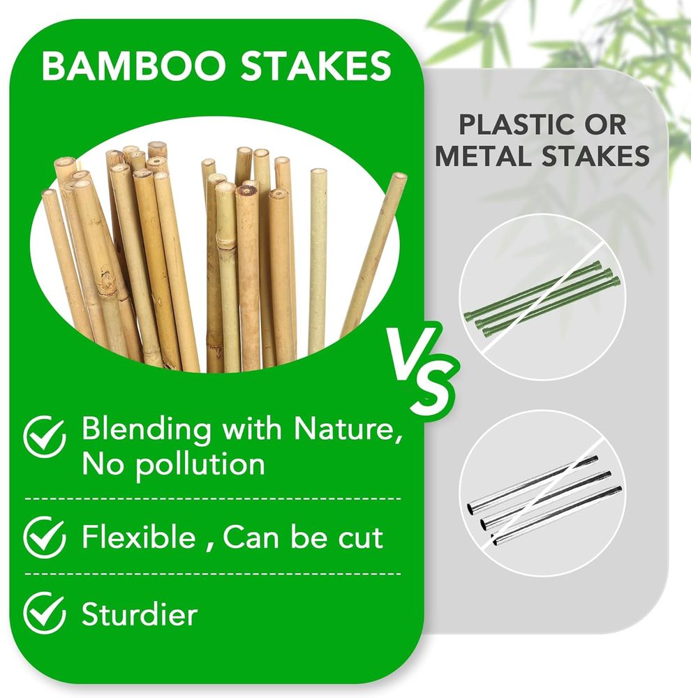 ชุดเสาค้ำต้นไม้จากไม้ไผ่ 55 ชิ - Plant Support Stake บทวิจารณ์และราคา