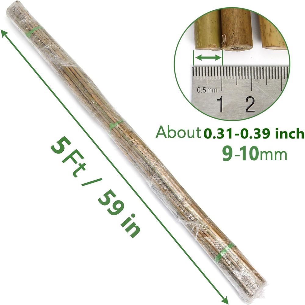 ชุดเสาค้ำต้นไม้จากไม้ไผ่ 55 ชิ - Plant Support Stake บทวิจารณ์และราคา